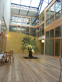 lepatio