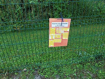 20220614_095248.jpg