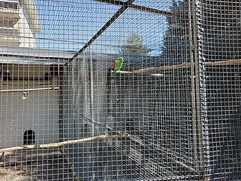 20220614_104719.jpg