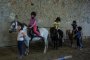 5.Les poneys