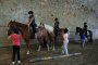 4. les doubles-poneys